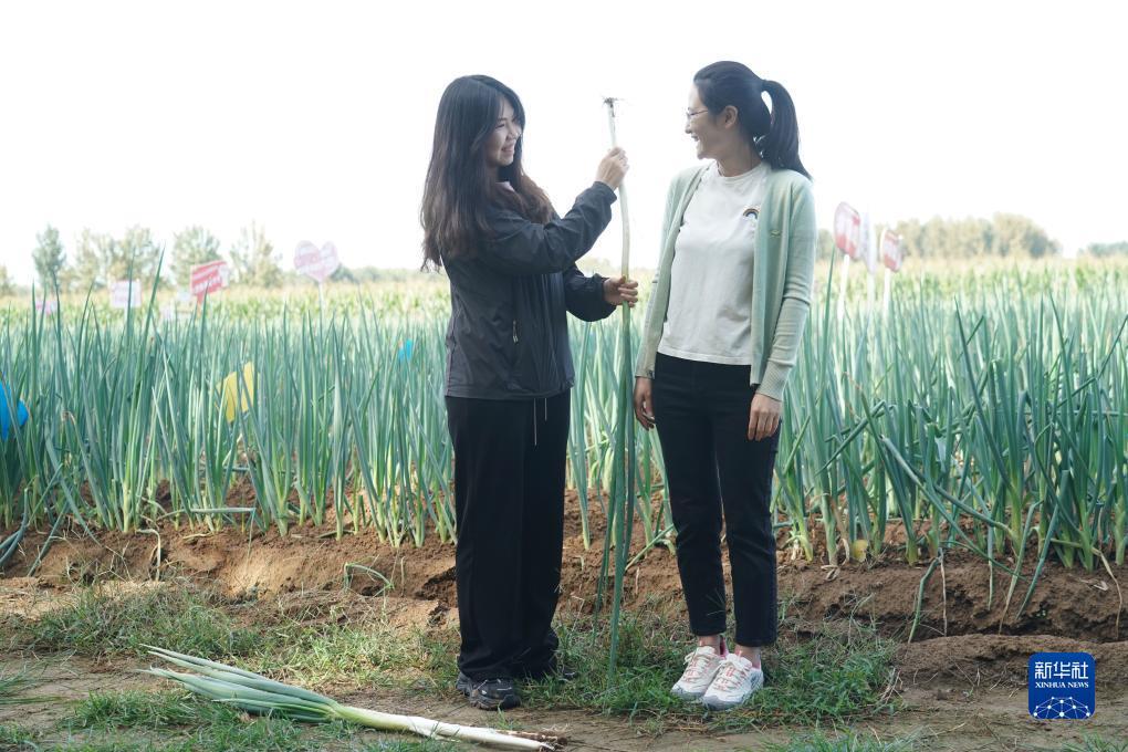 博狗游戏注